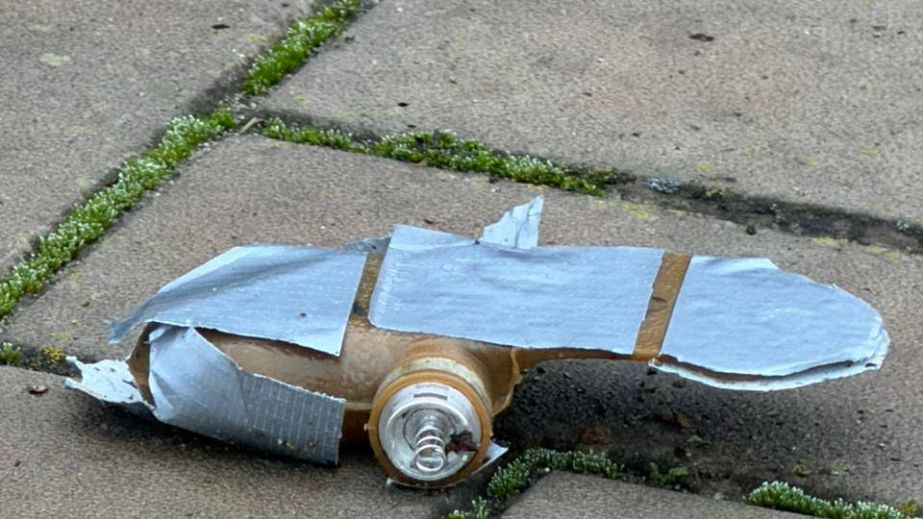 Под Запорожьем обнаружили мины-"лепестки" &ndash; подробности