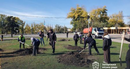 На запорізькій набережній висадили "дуби незламності" – фото