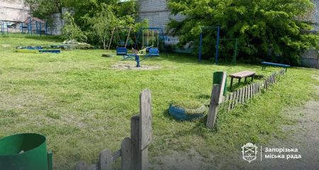 Карантин в Олександрівському районі: боротьбу з амброзією розпочали в Запоріжжі