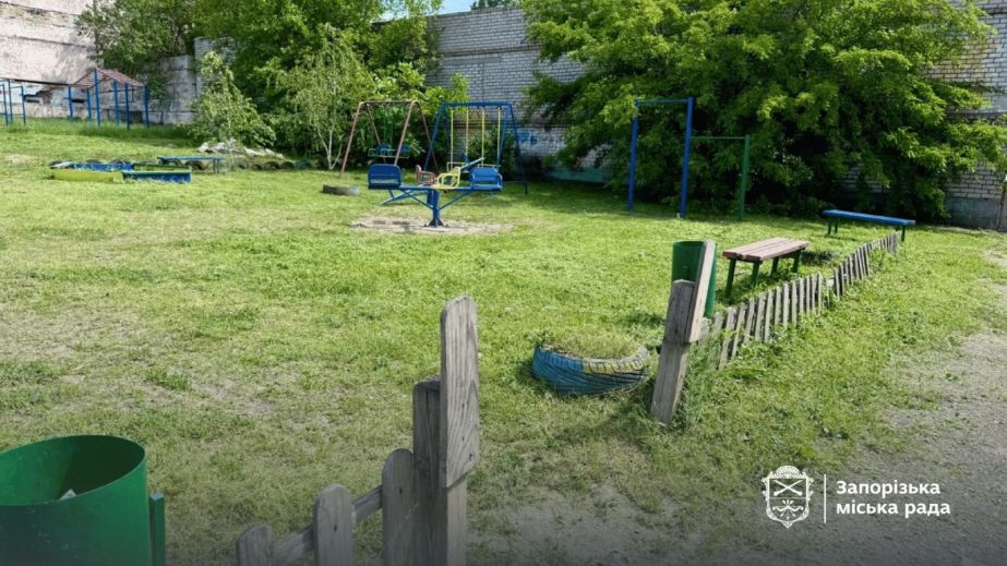 Карантин в Олександрівському районі: боротьбу з амброзією розпочали в Запоріжжі