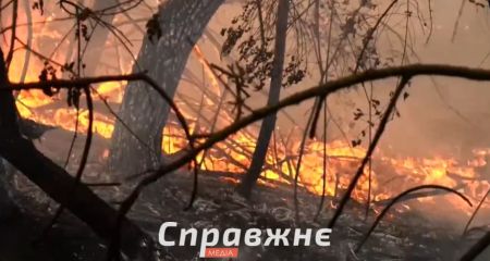 На Запоріжжі в два рази виросла кількість пожеж на відкритих територіях