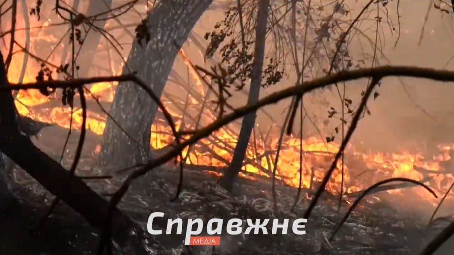 На Запоріжжі в два рази виросла кількість пожеж на відкритих територіях