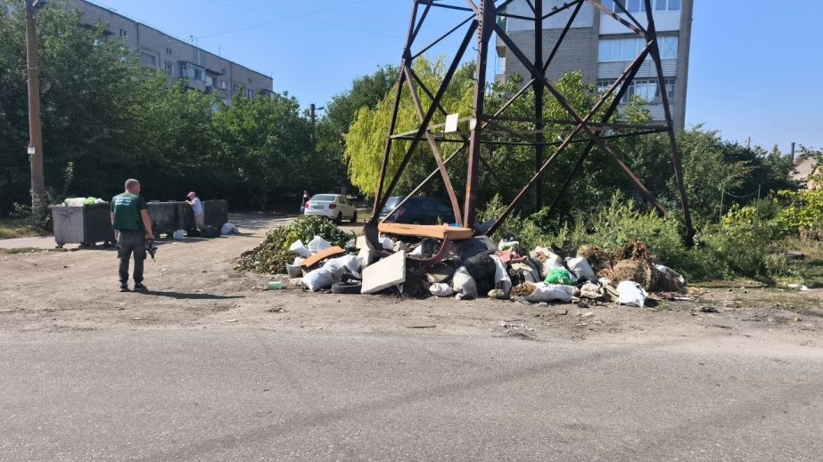 36 "квадратів" хламу: біля багатоповерхівки в Запоріжжі розрослося звалище