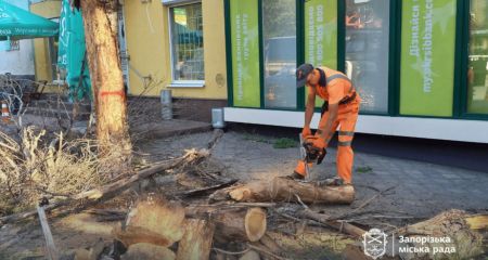 В Запорожье убрали еще одно опасное дерево – где именно