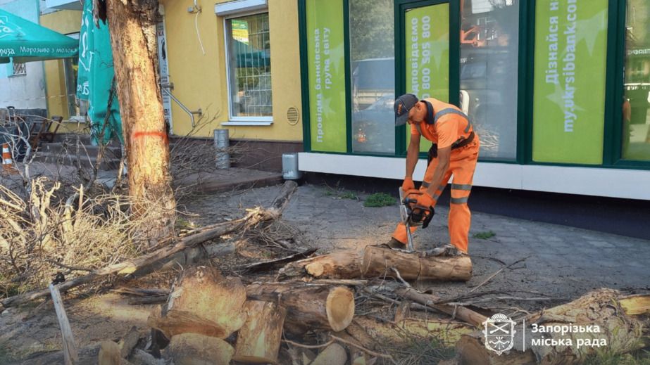 У Запоріжжі прибрали ще одне небезпечне дерево – де саме