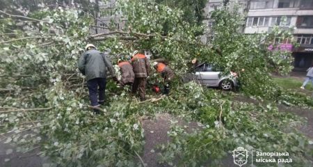 Ураган в Запорожье повалил деревья и повредил автомобили &ndash; кадры