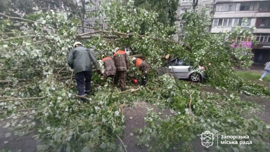 Буревій у Запоріжжі повалив дерева та понівечив автомобілі &ndash; кадри