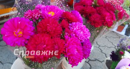 Айстри з-під обстрілів і соняшники: скільки коштують шкільні букети в Запоріжжі