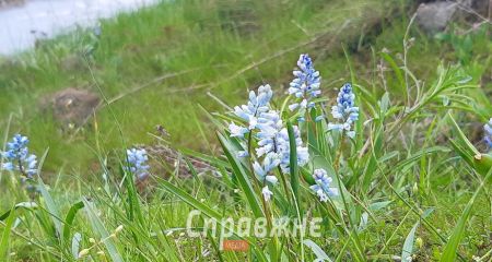 Новую экскурсию презентуют на запорожской Хортице &ndash; подробности