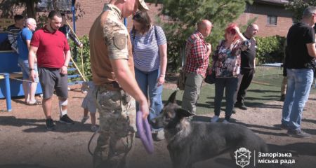 Как четвероногие спасатели оказывают психоэмоциональную поддержку ветеранам в Запорожье