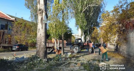 У старій частині Запоріжжя видаляють тополі &ndash; кадри