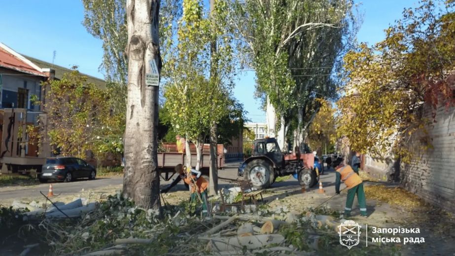 В старой части Запорожья удаляют тополя &ndash; кадры