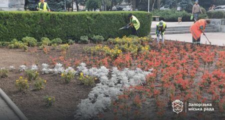 Сквер у Запоріжжі прикрасили орнаментом з 6 тисяч квітів