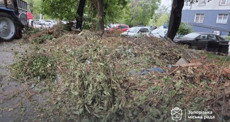 Зі стихійного звалища у центрі Запоріжжя утилізували 2 тонни гілля