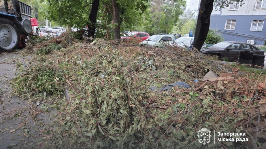 Зі стихійного звалища у центрі Запоріжжя утилізували 2 тонни гілля
