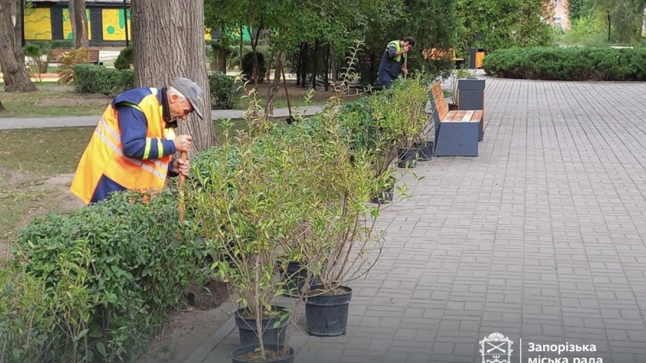 У запорізькому сквері висадили понад дві сотні квітучих кущів