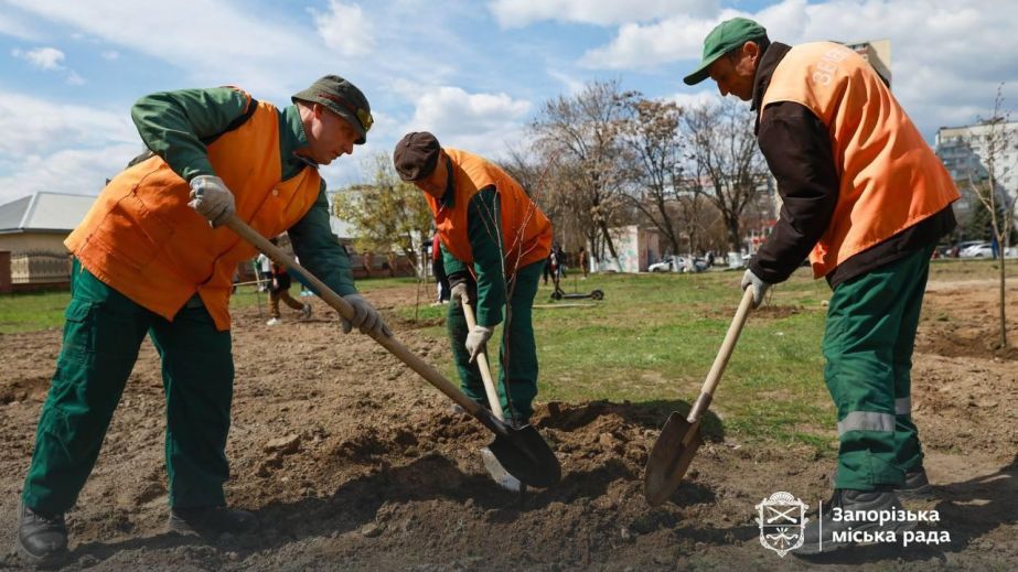 Липову алею висадили на оновленій площі в Хортицькому районі Запоріжжя &ndash; кадри