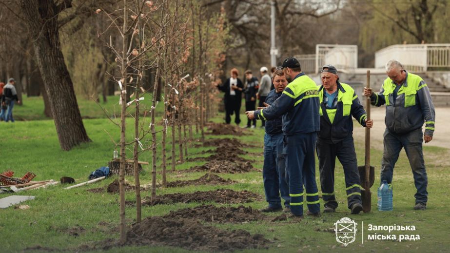Аллея из ста молодых дубов появилась в запорожской "Дубовке" &ndash; кадры