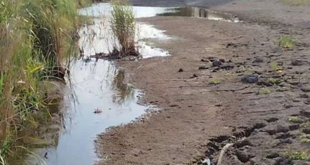 На оккупированном Запорожье исчезает река Молочная – подробности