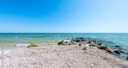 Осетер і експорт у Бразилію: які плани має ворог щодо Азовського моря на Запоріжжі