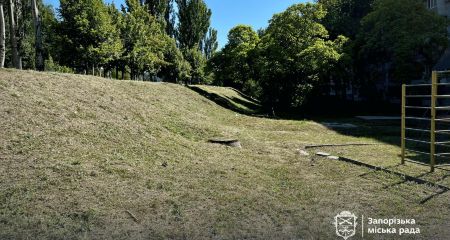 Величезні зарості амброзії скосили в Космічному районі Запоріжжя &ndash; локації