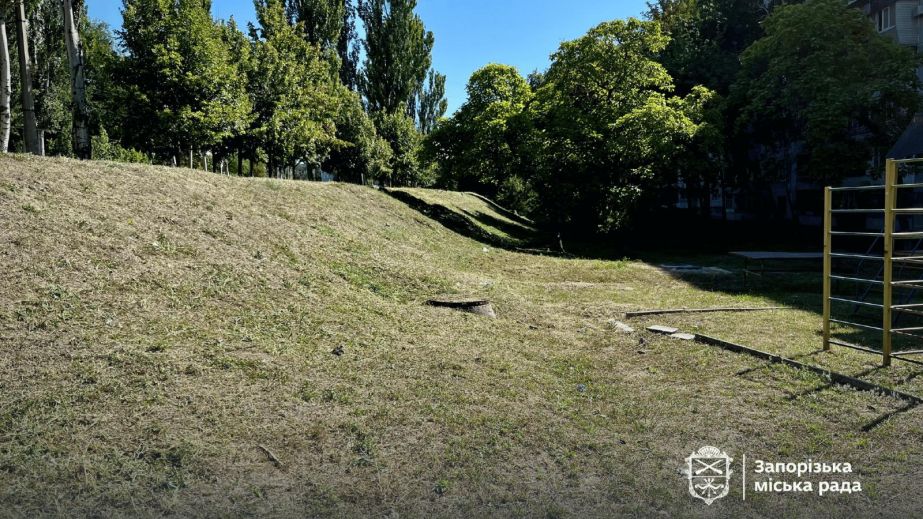 Огромные заросли амброзии скосили в Космическом районе Запорожья &ndash; локации