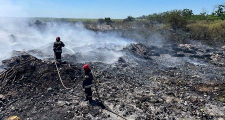 Запорізькі лісники збивають ворожі дрони