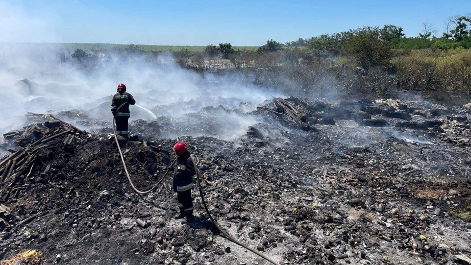 Запорізькі лісники збивають ворожі дрони