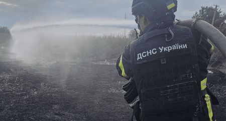 Около 8 тысяч м² экосистем выгорело на Запорожье за сутки