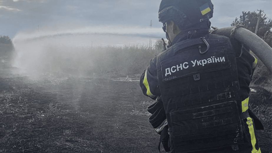 Близько 8 тисяч м² екосистем вигоріли на Запоріжжі упродовж доби