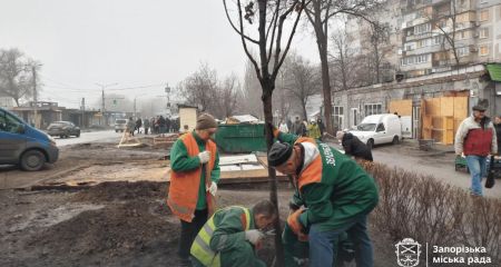 "Загоїли рани війни": дерева висадили на згарищі після обстрілу у Запоріжжі