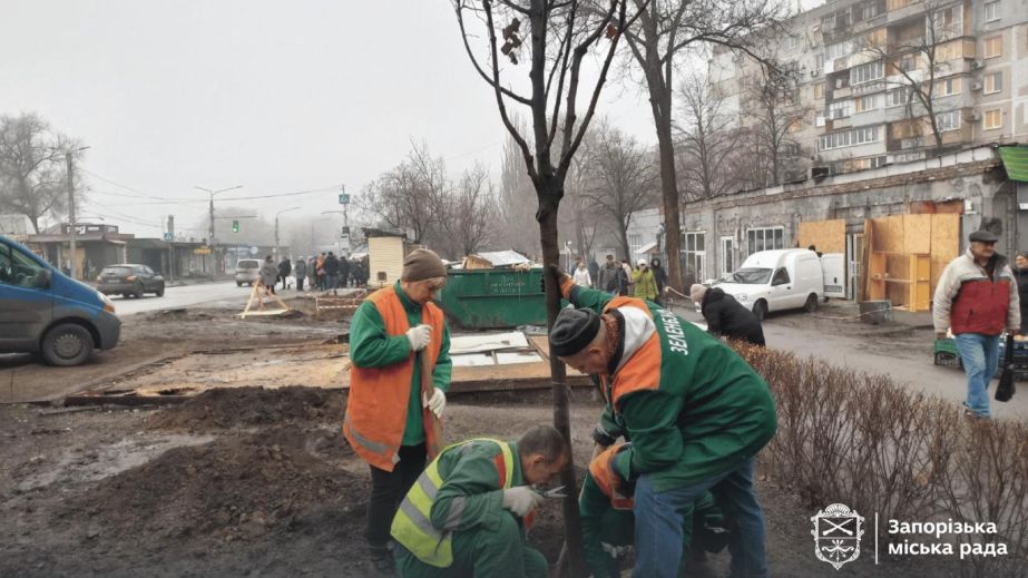 "Залечили раны войны": деревья высадили на пепелище после обстрела в Запорожье