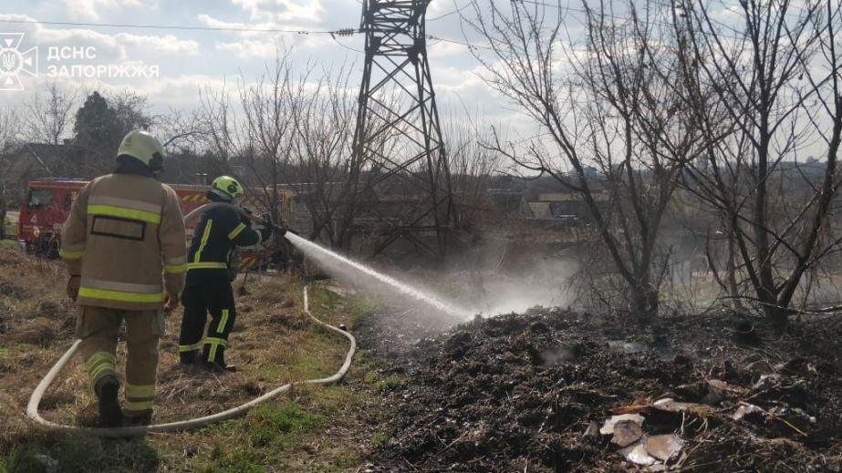 Девять пожаров бушевали в экосистемах Запорожья