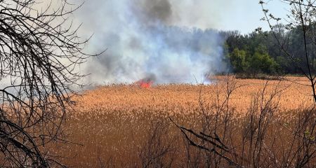 Усложнение ситуации с пожарами на Хортице в Запорожье объяснил природовед
