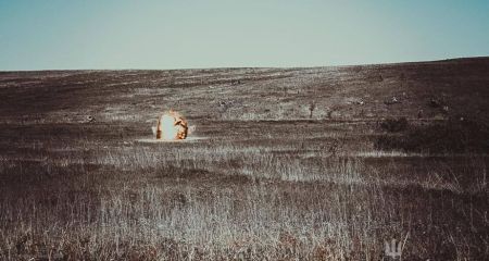 Осінні плани ворога: чому лінія Гуляйполе – Оріхів – Степногірськ непокоїть