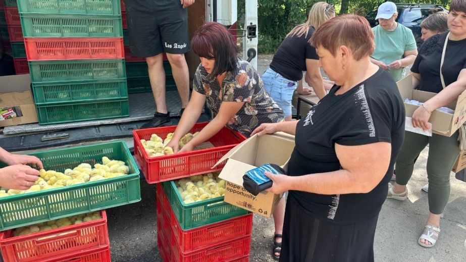 Живі набори для домашнього птахівництва отримали родини на Запоріжжі