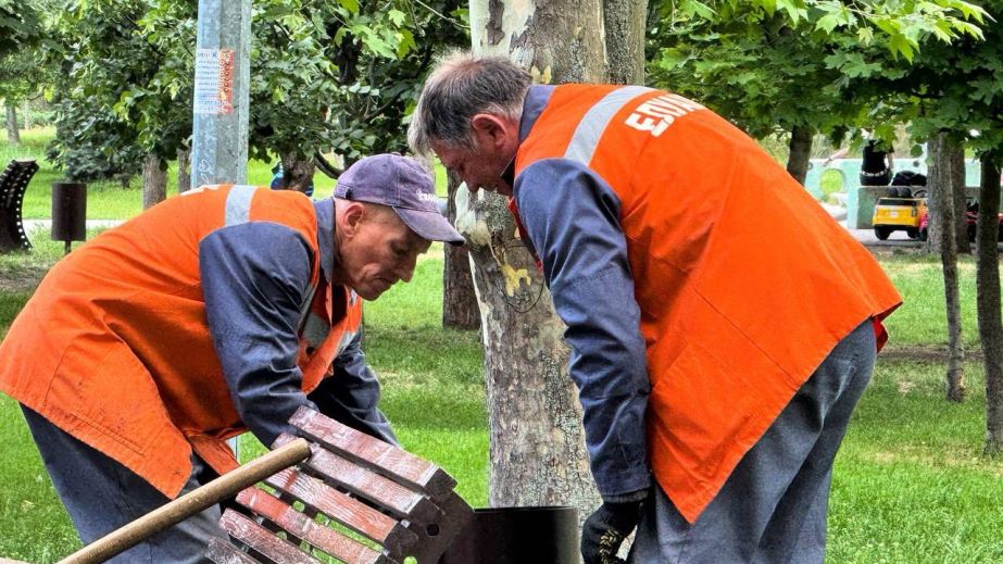 Коммунальщики убрали "работу" вандалов в одном из парков Запорожья
