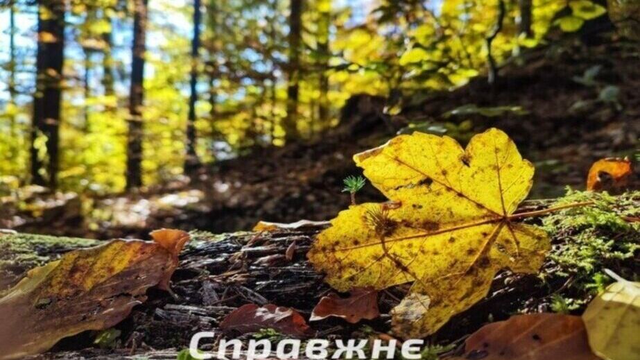 Какой будет осень: прогноз от запорожских синоптиков
