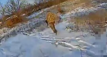 Сколько оккупантов гибнет ежедневно на Запорожье &ndash; детали