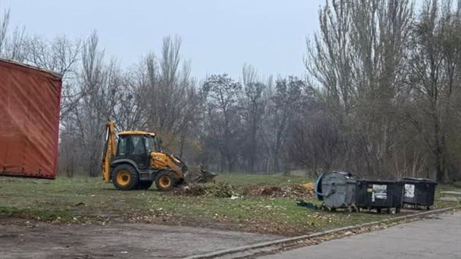 Дерева видаляють біля будинків в одному з районів Запоріжжя