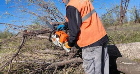 Старі дерева видаляють в одному з районів Запоріжжя &ndash; локації