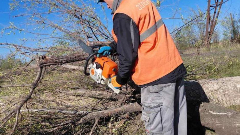 Старі дерева видаляють в одному з районів Запоріжжя &ndash; локації
