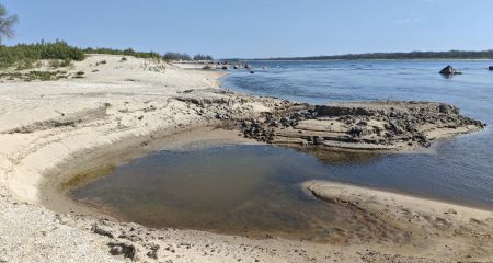 Кістки й черепи: у Запоріжжі показали знахідки на берегах Дніпра