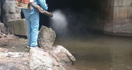 Дезінсекція водойм розпочалася в Запоріжжі – причина