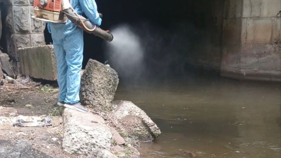 Дезинсекция водоемов началась в Запорожье – причина