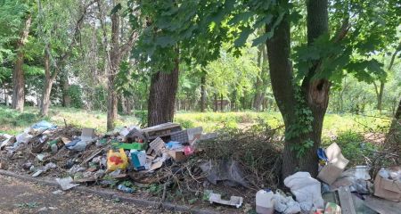 Підприємець влаштував звалище поблизу меморіального місця в Запоріжжі