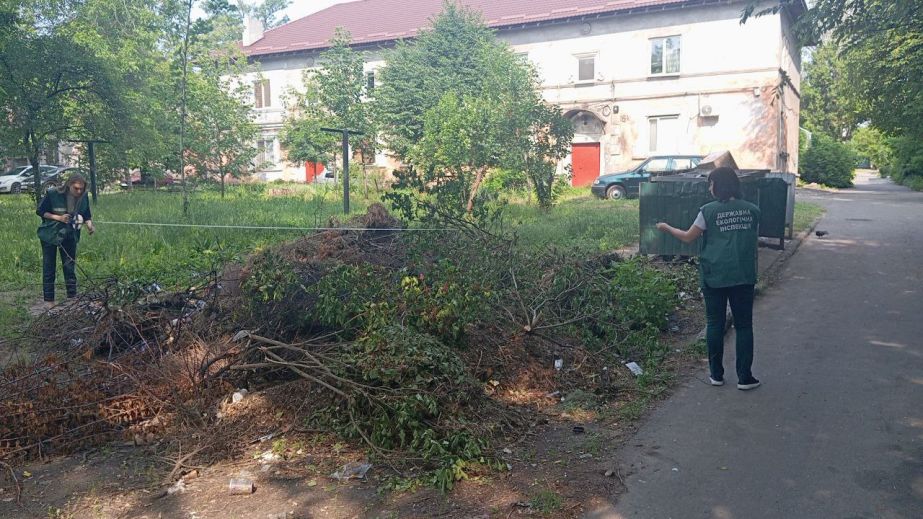 Стихійне звалище виявили між багатоповерхівками в центрі Запоріжжя