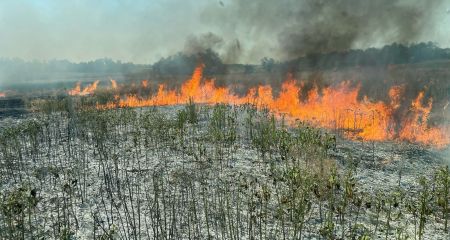 Поле пшеницы и сухости охватил огонь из-за обстрелов на Запорожье