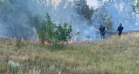 15 пожеж вирували в екосистемах на Запоріжжі
