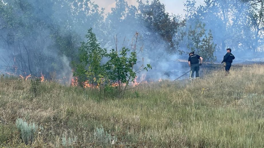 15 пожаров бушевали в экосистемах на Запорожье